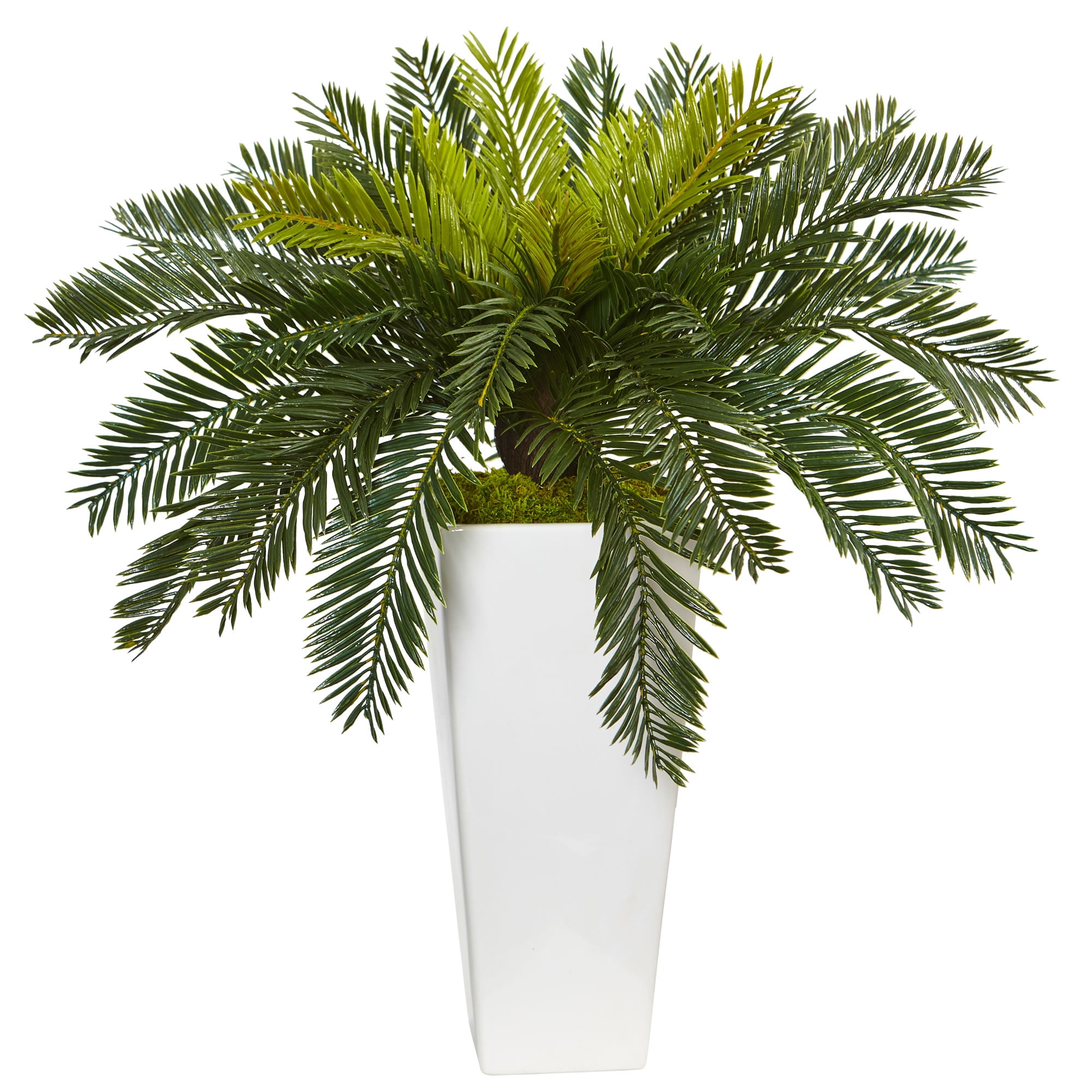 Nearly Natural Cycas Artificial Plant in White Planter
