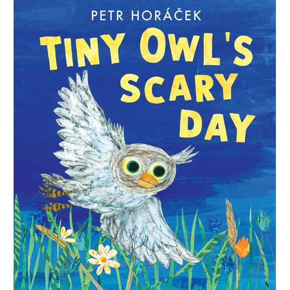 Tiny Owl's Scary Day, (Hardcover)