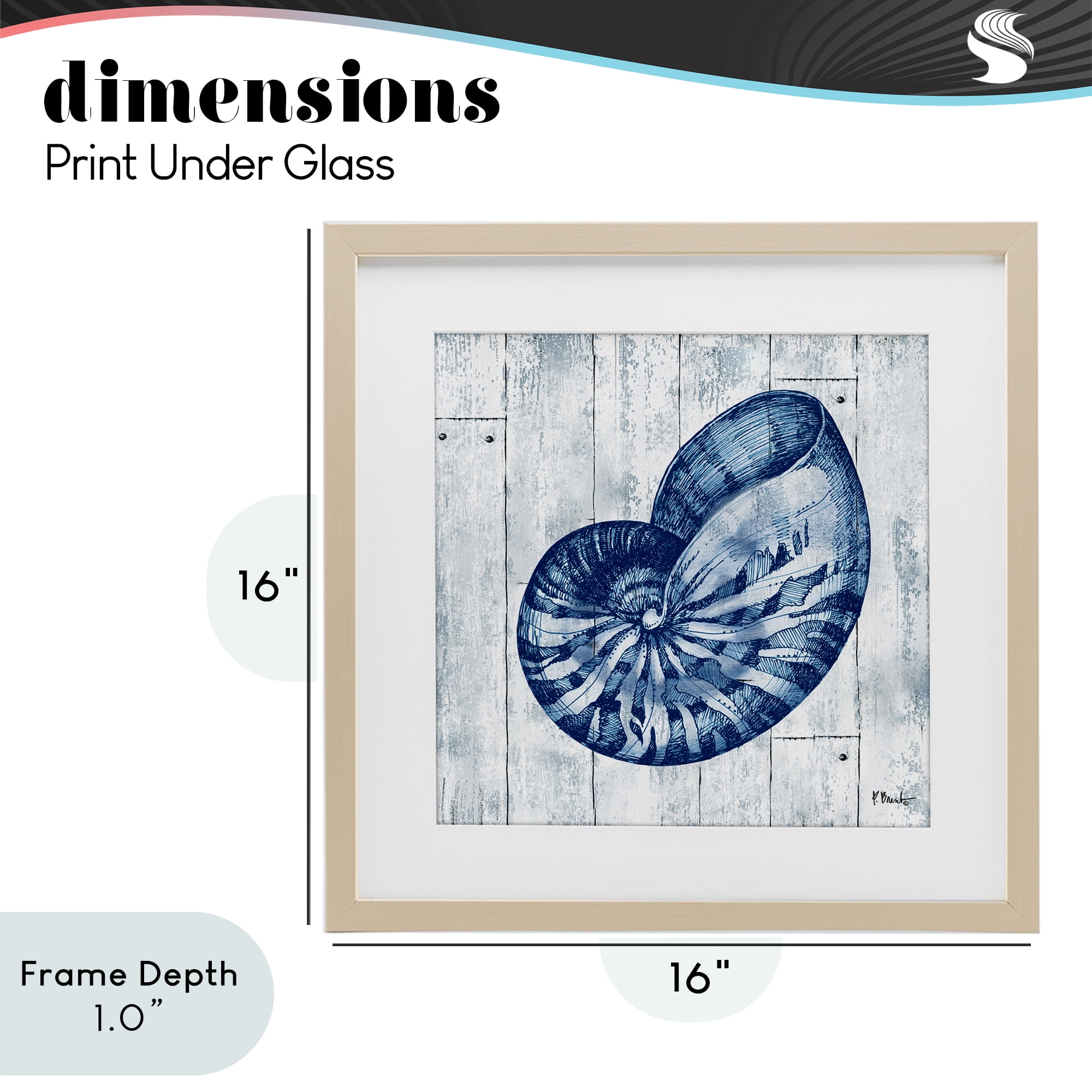 Stupell Industries Coastal Timberland Nautilus Birch Framed Print Under Glass, design by Paul Brent