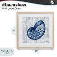 thumbnail image 4 of Stupell Industries Rustic Lodge Coastal Timberland Nautilus Birch Framed Print Under Glass, 16 x 16, by Paul Brent, 4 of 8