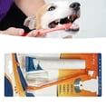 thumbnail image 4 of <p>Pet Toothpaste And Toothbrush Set Pet Cleaning Toothpaste Set Pet Teeth Cleaning Set</p>, 4 of 7