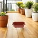 thumbnail image 4 of 10pcs macetas de bonsai estilo vintage plantas de bonsai plantas creciendo maceta clásica de flores clásicas, 4 of 8