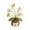 White, variant on Toy Positive Flower Pot with Inspirational Cards and Positive Messages for Indoor and Outdoor All Ages,4.33 inx2.36 in,White