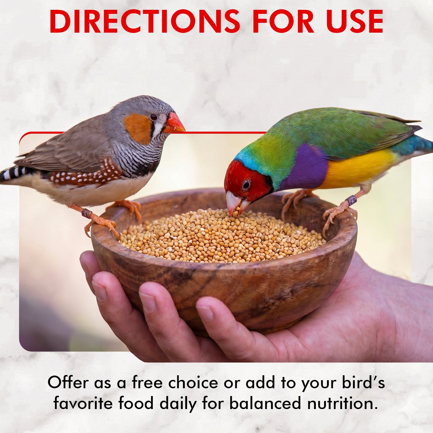 Morning Bird Golden German Millet 9 lbs – Bird Food for Parakeets, Finches & Canaries – Natural Millet Seed for Daily Nutrition