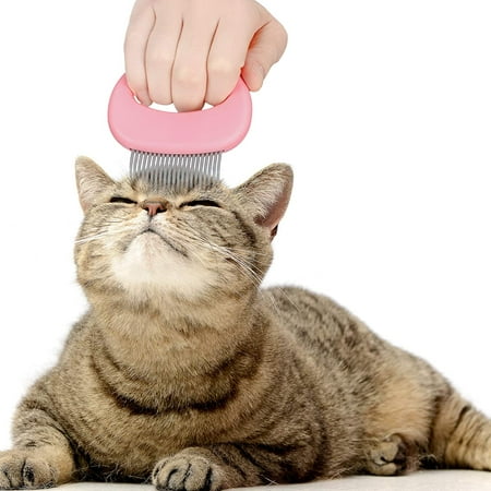 2 Pieces Cat Comb Pet Massage Comb Cat Shell Comb Cat Grooming And Painless Deshedding Matted Tangled Hair For Cats And Dogs Green Blue Walmart Canada