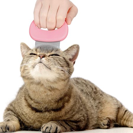 2 Pieces Cat Comb Pet Massage Comb Cat Shell Comb Cat Grooming And Painless Deshedding Matted Tangled Hair For Cats And Dogs Green Blue Walmart Canada 2 Pieces Cat Comb Pet Massage Comb Cat Shell Comb Cat Grooming And Painless Deshedding Matted Tangled Hair For Cats And Dogs Green Blue Walmart Canada