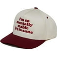 thumbnail image 2 of Funky Junque Two Tone Vintage Snapback Hat - I'm So Mentally Stable It's Insane - Burgundy/Beige, 2 of 6