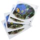 thumbnail image 3 of Restroom Decals Strong Adhesive Bathroom Use Multi 38x34cm 4Pcs, 3 of 4