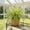 green-Free Size/A, variant on Artificial Greenery Wall Panel 23.62In Authentic Foliage Detail Long Lasting Fresh Look Safe Gentle Material Build for Indoor Outdoor Home Table Store Hallway Vase Combination Decor