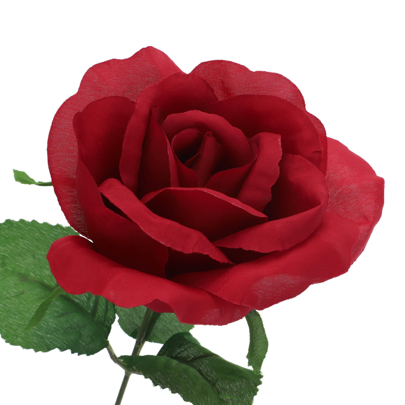 Red Rose Bush by Ashland®