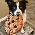 thumbnail image 5 of Doggijuana Get the Munchies Refillable Juananip Dog Plush Toy, Big Chewy Choco Chip Cookie, 5 of 5