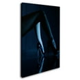 thumbnail image 2 of Erik Schottstaedt 'Blue Velvet' Canvas Art, 2 of 3