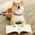 thumbnail image 4 of WESIEVYA 1 Set Simple Structure Pet Supplies for Pet Owners Walking Their Dogs 47.2X0.6in, 4 of 5