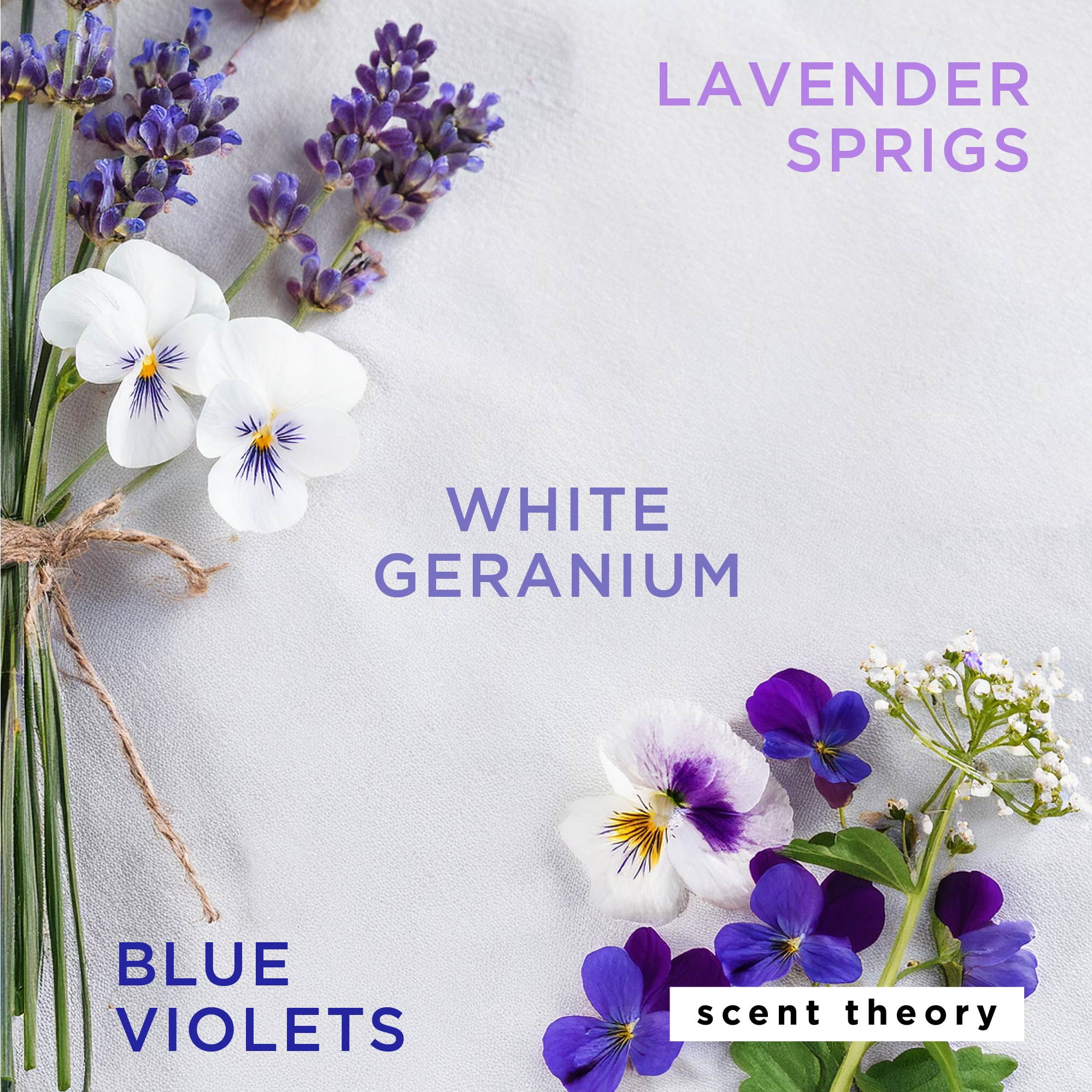 (8 pack) Scent Theory Foaming Hand Soap, Lavender Blooms, 11 fl oz