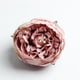 thumbnail image 3 of 10 cabezas de peonías artificiales de seda para decoración de bodas. rosado, 3 of 9