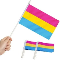 Anley Pansexual Pride Miniature Flag 5x8 inches Handheld Stick Flag (1 Dozen)