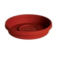 thumbnail image 2 of 51006C 5.7 in. Dia.  5.7 x 1.2 in.  6 in. Terracotta Terratray, 2 of 2