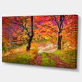 thumbnail image 2 of Bright Colorful Fall Trees in Forest - Large Landscape Canvas Art Print, 2 of 3
