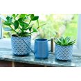 thumbnail image 5 of Gardener's Supply Company Pinpoint Indoor Watering Can - Blue, 5 of 6