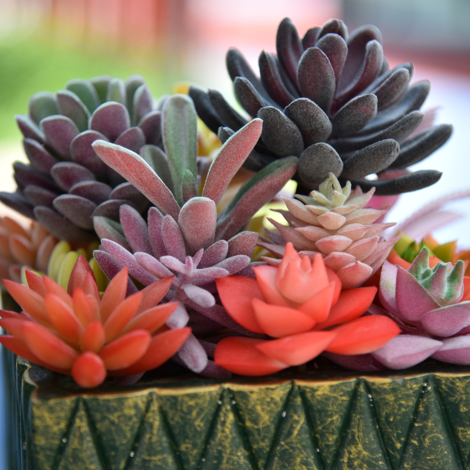 Thatswut - 15 Pack Bulk Large Assorted Realistic Artificial Faux Succulents Aloe Plants Realistic Fake Succulent Plants