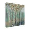thumbnail image 2 of Trademark Fine Art 'Birches at Dawn' Canvas Art by Silvia Vassileva, 2 of 3