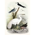 thumbnail image 2 of Piddix 19x24 Gold Ornate Wood Framed with Double Matting Museum Art Print Titled - Little Egret and Friends, 2 of 4