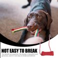 thumbnail image 3 of EXHUMKY 3Pack Dog Chain Stainless Steel Spring for Camping and Yard Training Practical Design, 3 of 5