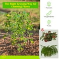 thumbnail image 4 of BLACK JAGUAR 2-Piece Green Cucumber Garden Trellis Grow Support for Climbing Plant, 4 of 10
