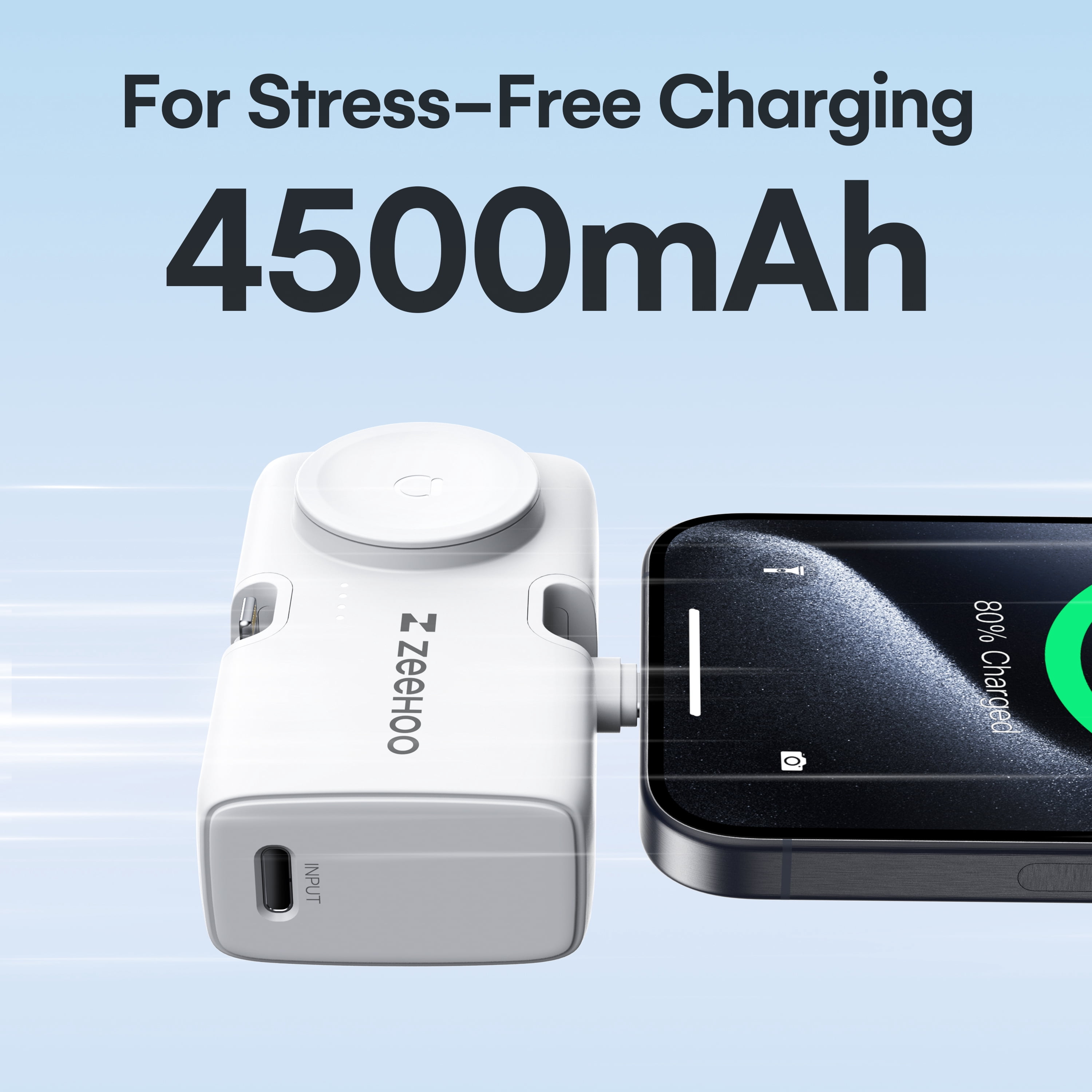 ZeeHoo Tiny Power Bank with Built-In USB-C and Lightning Connector, Portable Power Pack, Black