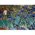 thumbnail image 1 of Irises - Van Gogh Eurographics 6000-4364, 1 of 4