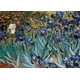 thumbnail image 1 of Irises - Van Gogh Eurographics 6000-4364, 1 of 4