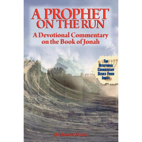 A Prophet on the Run, (Paperback)