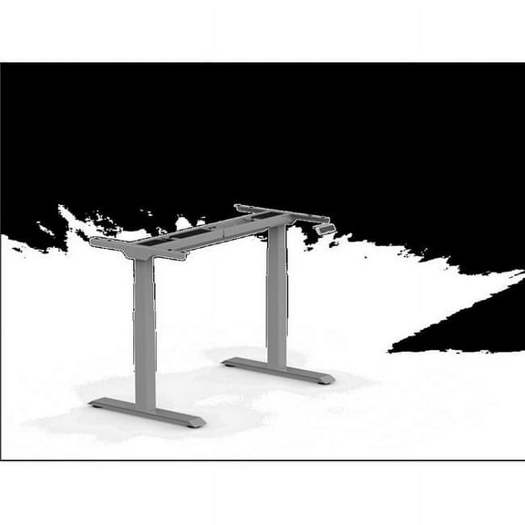 Flexispot E7S 22.8 x 48.4 in. Premium Standing Desk, Gray