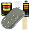 Restoration Shop - Dove Gray Acrylic Enamel Auto Paint, Complete Gallon Paint Kit, Single Stage High Gloss