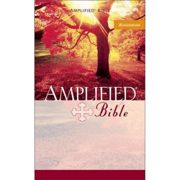 Pre-Owned Amplified Bible Mass Market (Unknown) 0310951852 9780310951858