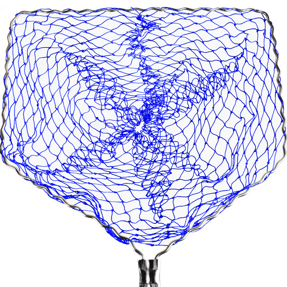 Butterfly Ball Amigo Head Replacement