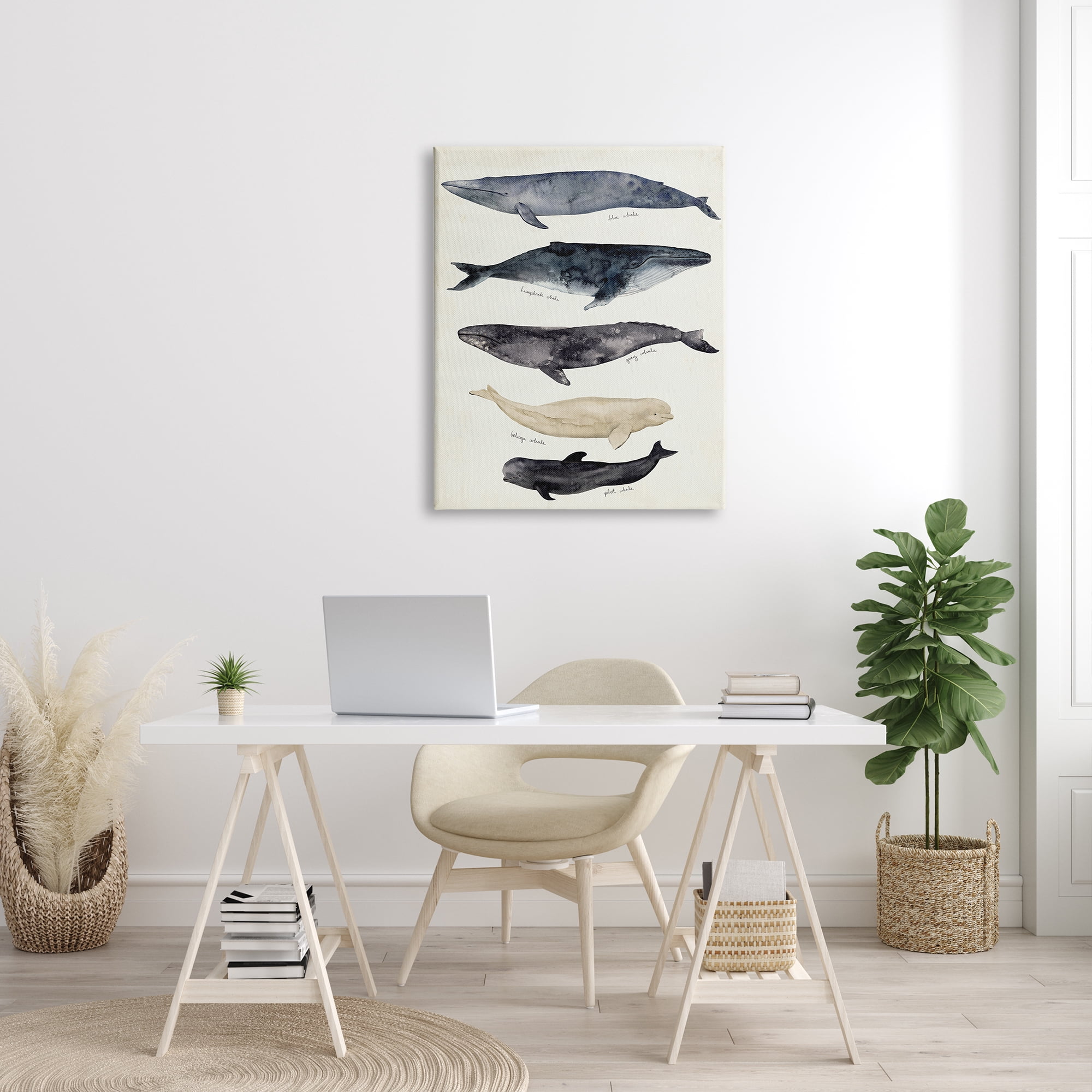 Stupell Industries Antique Whale Chart Large Vintage Nautical Animals Nature Painting Gallery Wrapped Canvas Print Wall Art, 30 x 40