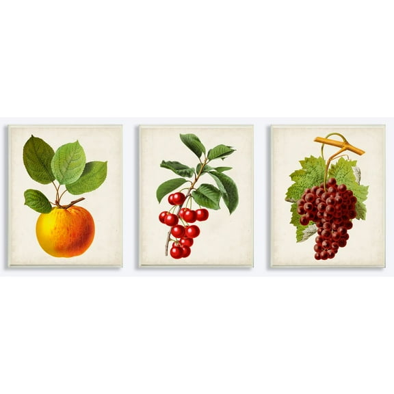 Stupell Industries Vintage Fruits Food Kitchen Dining Room Painting Design 3pc Wall Plaque Art Set by Vision Studio