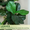 thumbnail image 6 of ROMSWI 5FT Artificial Fiddle Leaf Fig Tree with White Planter Pot Natural Trunk Realistic Leaves Lifelike Faux Floor Plant For Home House Office Decor Indoor, 6 of 10