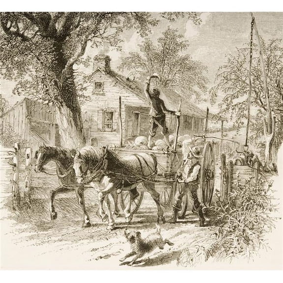 Homestead In Kansas In 1870S From American Pictures Drawn with Pen & Pencil by Rev Samuel Manning Circa 1880 Poster Print, Large - 28 x 26