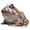 B, variant on Small Frog Garden Statue Resin Animal Sculpture for Outdoor Yard Art Decor, Perfect Spring Summer Decorations for Front Porch Patio and Ornament, 3.9" A