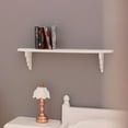 Andvari 112 Shelf Model Toy Wallmounted Stable Structure Anticrack