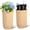 gold, variant on Danolapsi Tall Planters Set of 2, Outdoor Self Watering Pots with Water Level Monitor, Marble Finish Large Planters for Indoor Plants, Living Room, Home, Office, Patio, Porch, Garden