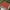 Rust Red, variant on IC ICLOVER 8' x 12' Sun Shade Sail Canopy Rectangle UV Block Sunshade for Outdoor Patio Garden Carport Backyard - Cream