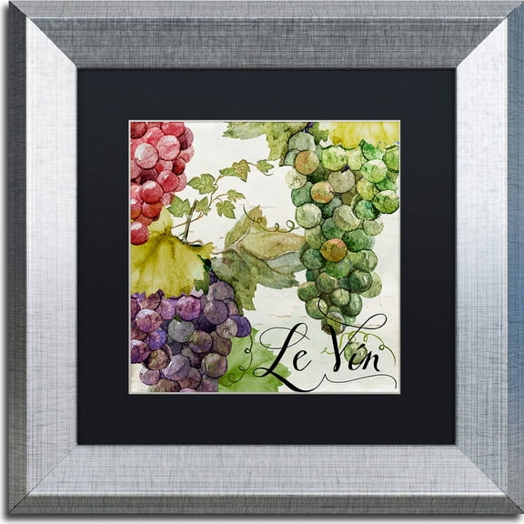 Trademark Fine Art "Wines of Paris II" Canvas Art by Color Bakery, Black Matte, Silver Frame