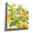 thumbnail image 2 of Epic Graffiti 'Watercolor Hibiscus II' by Tim O'Toole, Canvas Wall Art, 26"x26", 2 of 2