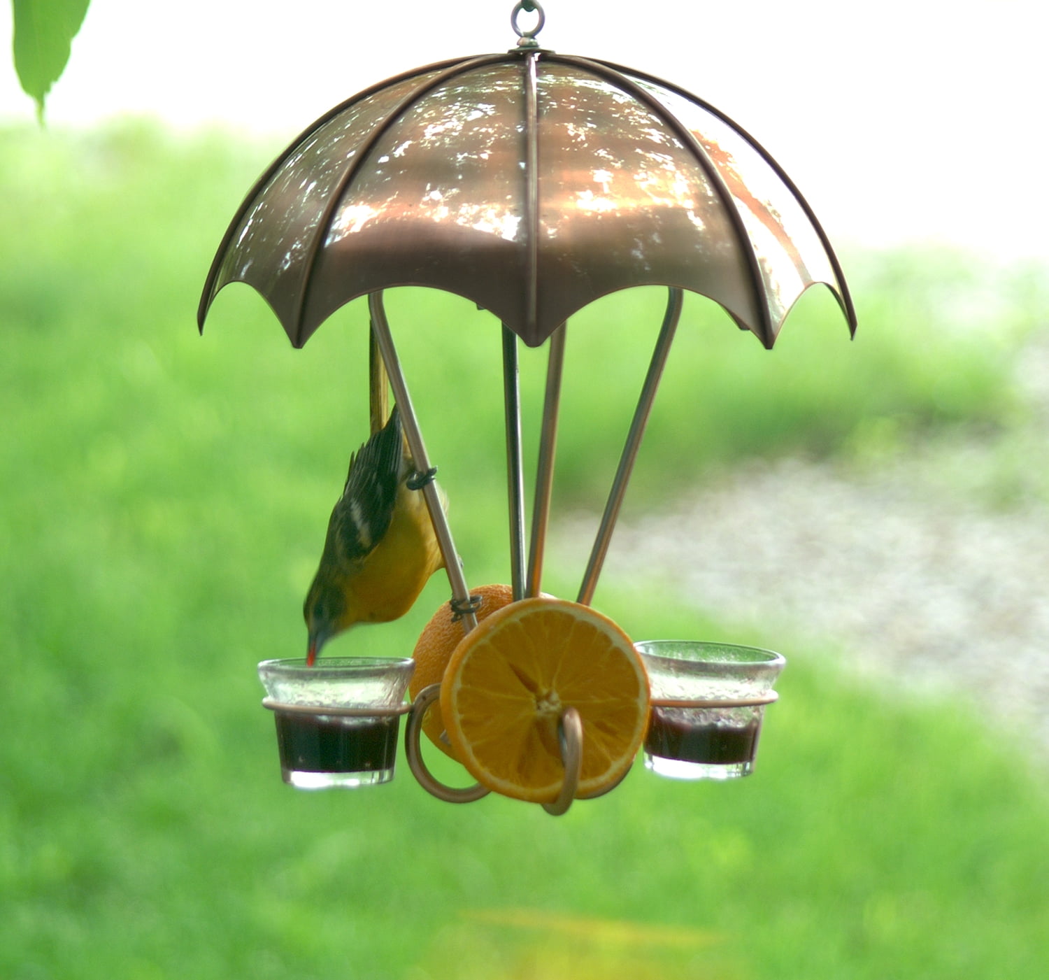 Woodlink Decorative Copper Oriole Bird Feeder with Protective Roof