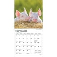 thumbnail image 4 of Piglets | 2026 7x14" (Hanging) Monthly Mini Wall Calendar | BrownTrout, 4 of 9