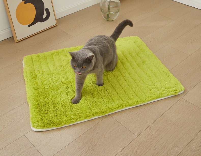 Zhuge Thermal Insulated Pet Mat, Washable for Cats, Outdoor Cat House & Indoor Warmth Pad - Green, 70x100cm, 1 Piece