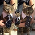 thumbnail image 4 of Corbata para perro y gato Corbata ajustable para gatos Corbata para mascotas para perros pequeños Accesorios para cachorros S, Estrella negra, 4 of 5